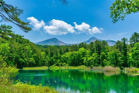 東北方在哪|面積約占本州1/3！日本東北地方是什麼樣的地區？ 